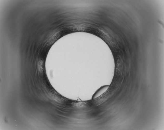 X0000095890122200802081126