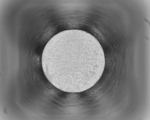 X0000095890123200802081126