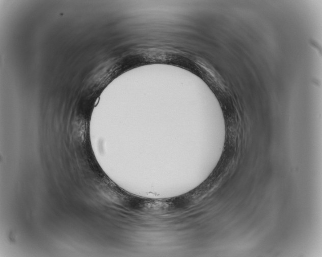 X0000095890125200802081126