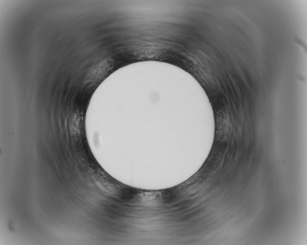 X0000095890126200802081126