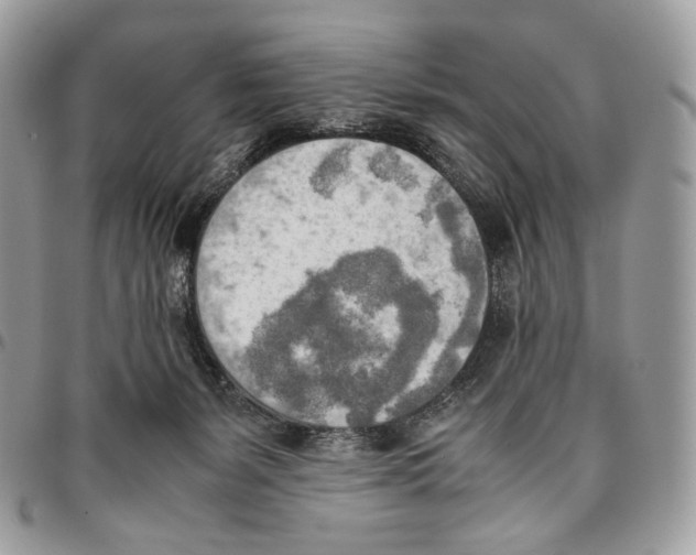 X0000095890127200802081126