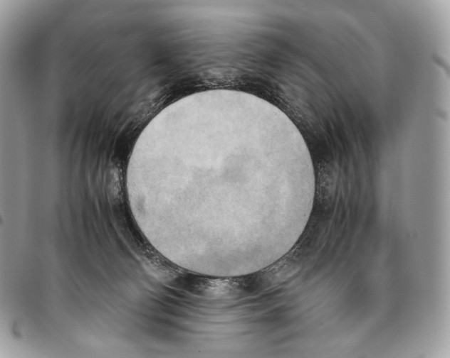 X0000095890130200802081126