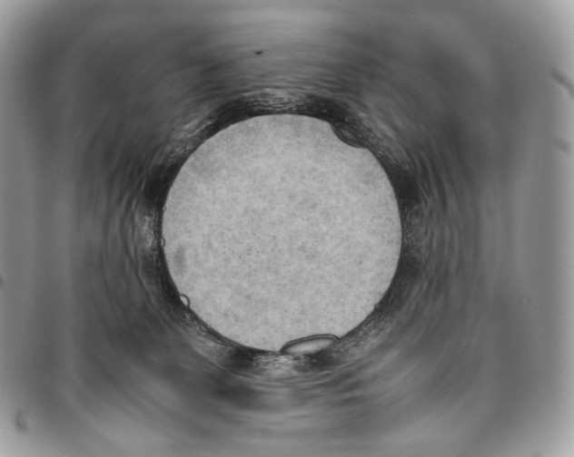 X0000095890131200802081126