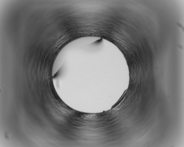 X0000095890132200802081126