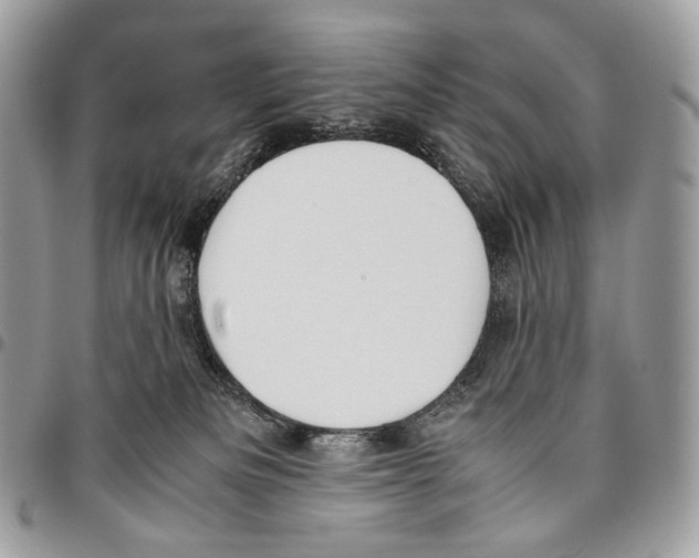X0000095890133200802081126