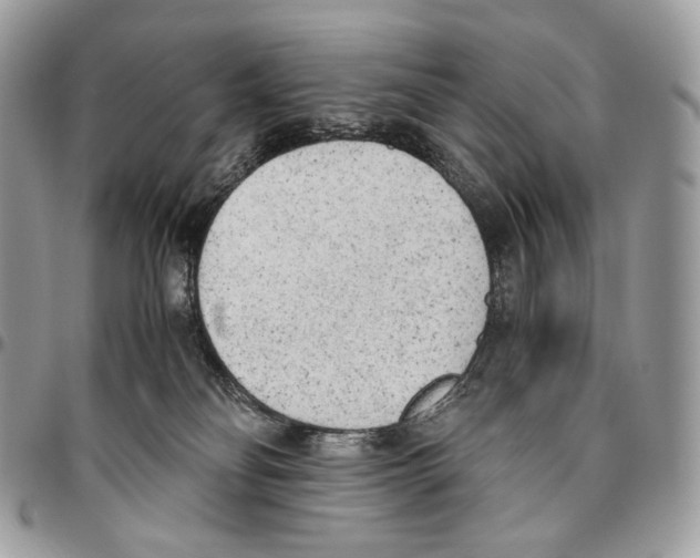X0000095890134200802081126
