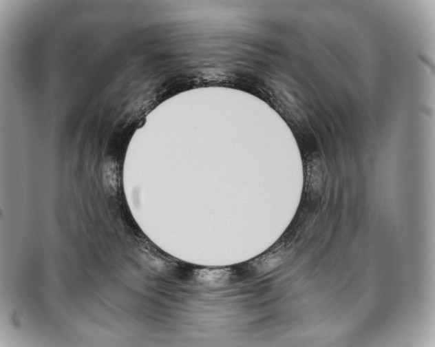 X0000095890135200802081126