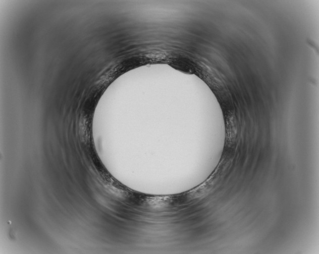 X0000095890136200802081126