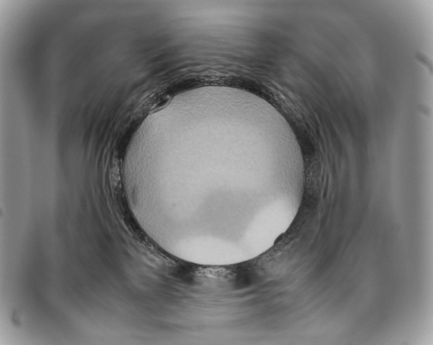 X0000095890137200802081126