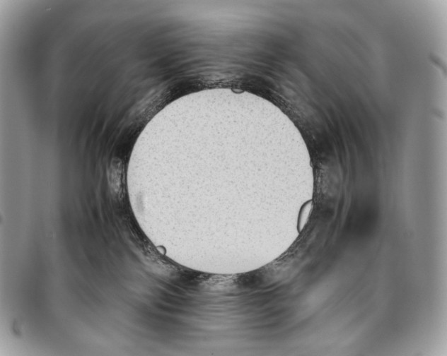 X0000095890138200802081126