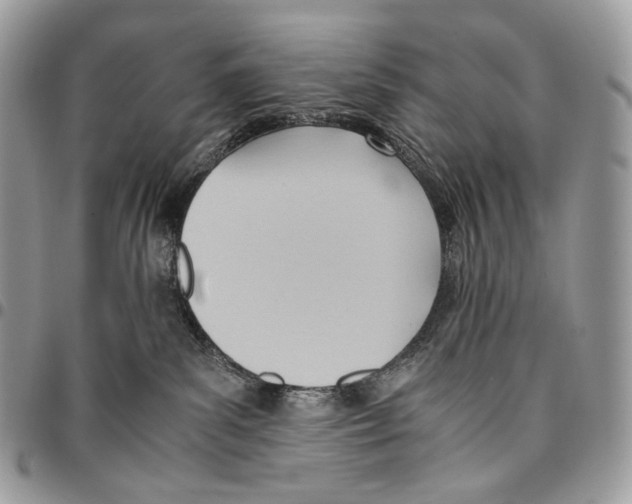 X0000095890139200802081126