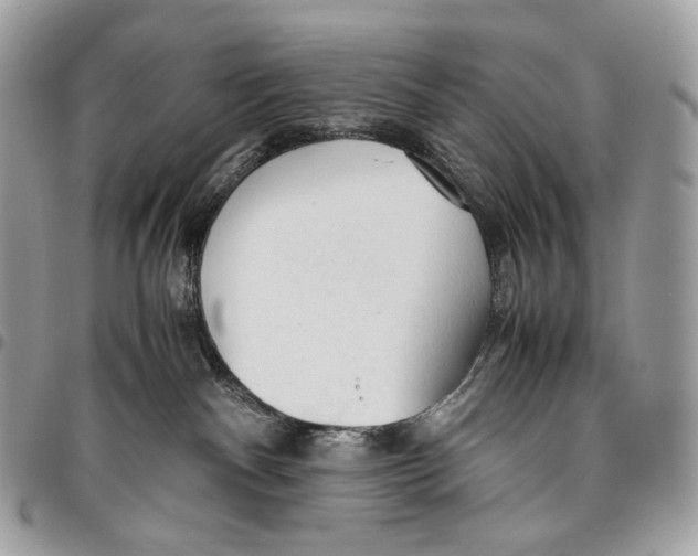 X0000095890140200802081126