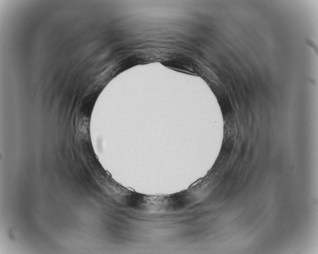 X0000095890141200802081126