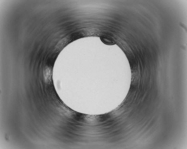 X0000095890142200802081126