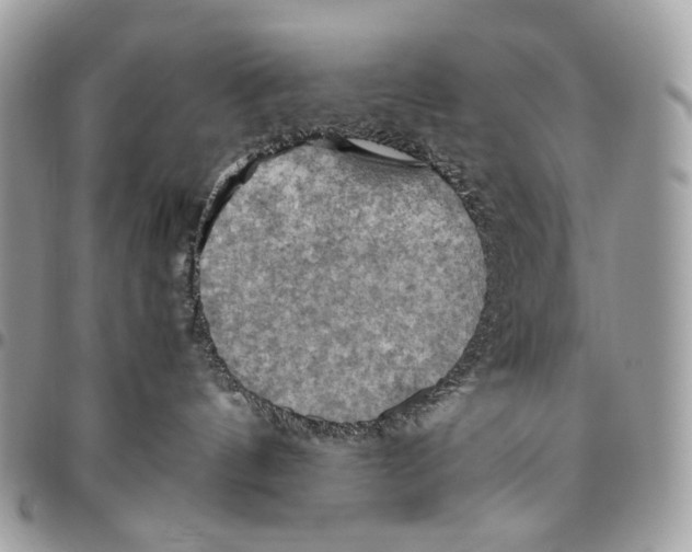 X0000095890144200802081126