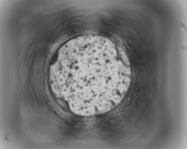 X0000095890145200802081125