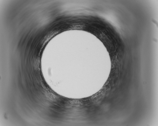 X0000095890146200802081125
