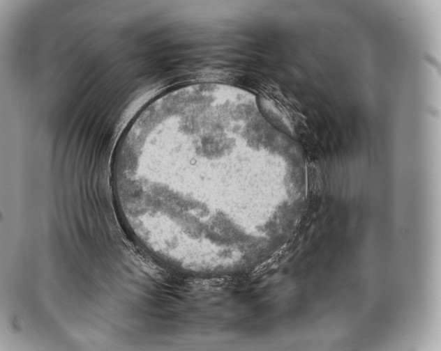 X0000095890147200802081125