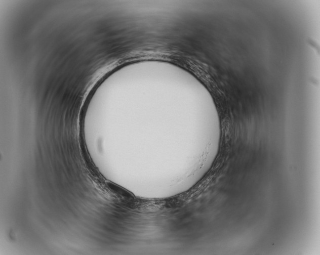 X0000095890148200802081125