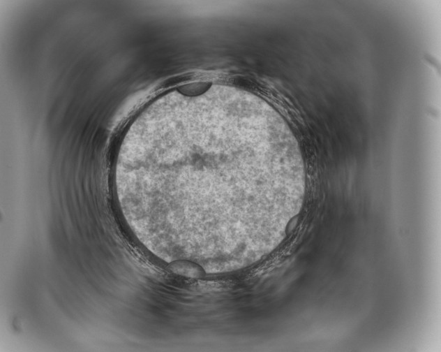 X0000095890149200802081125