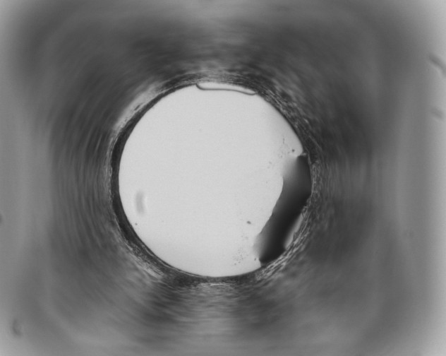 X0000095890150200802081125