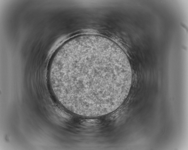 X0000095890151200802081125