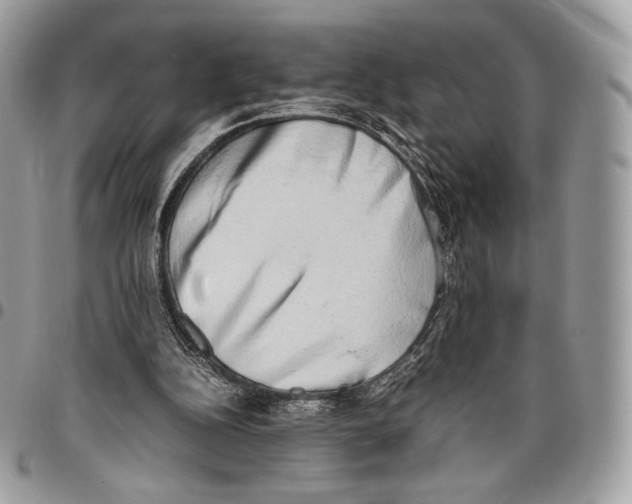 X0000095890152200802081125