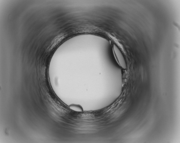 X0000095890154200802081125
