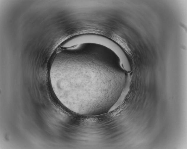 X0000095890156200802081125