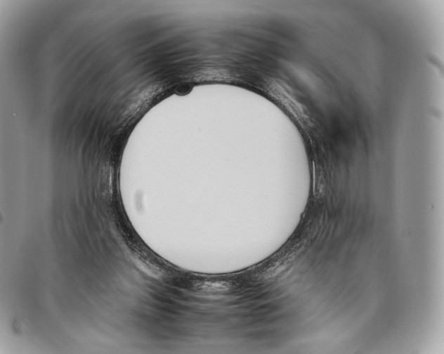 X0000095890157200802081125
