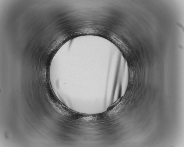 X0000095890158200802081125