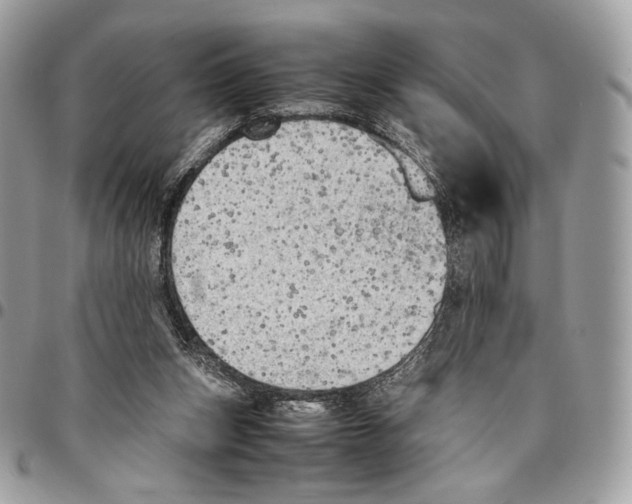 X0000095890159200802081125