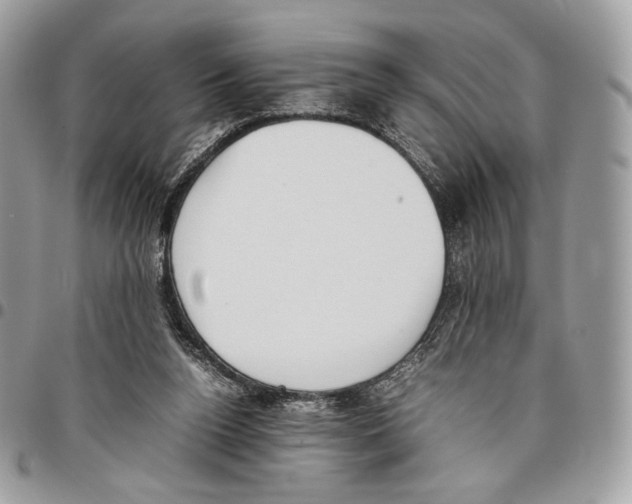 X0000095890160200802081125