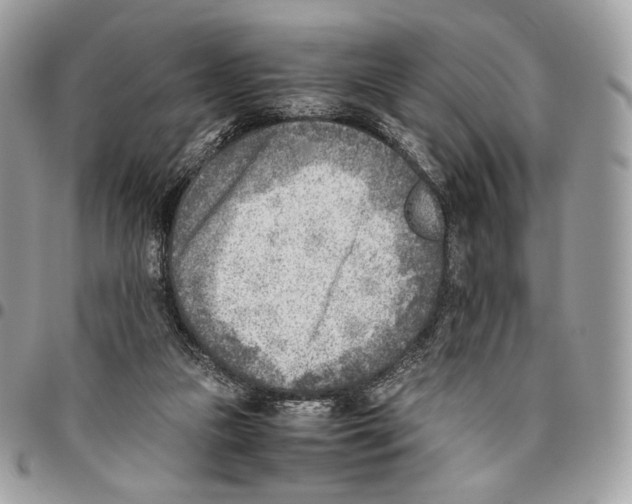 X0000095890161200802081125