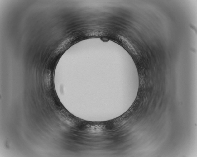 X0000095890163200802081125