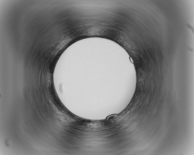 X0000095890164200802081125