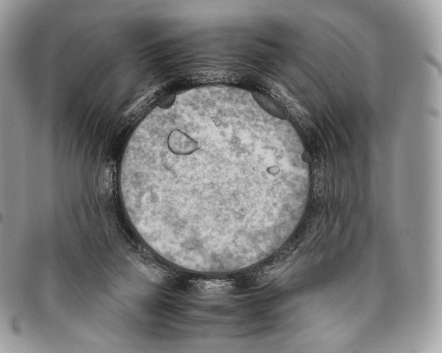 X0000095890165200802081125