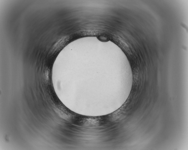 X0000095890166200802081125
