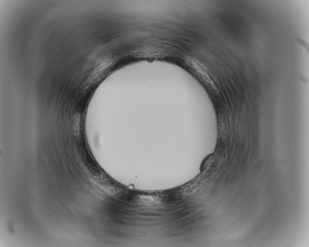 X0000095890167200802081125