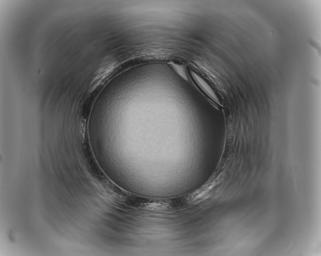 X0000095890168200802081125