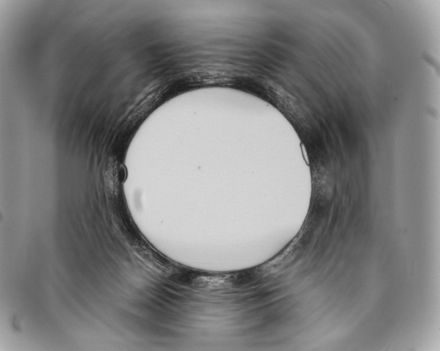 X0000095890170200802081125