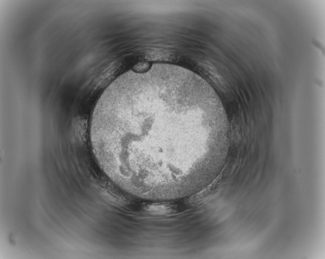 X0000095890171200802081125