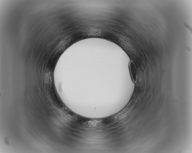 X0000095890172200802081125