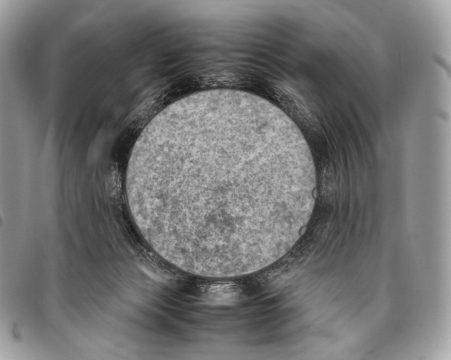 X0000095890173200802081125