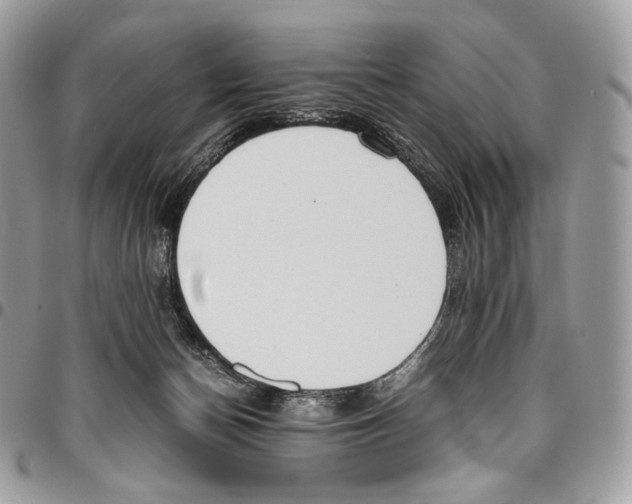 X0000095890174200802081125