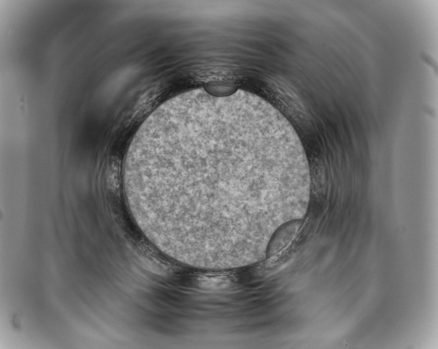 X0000095890175200802081125