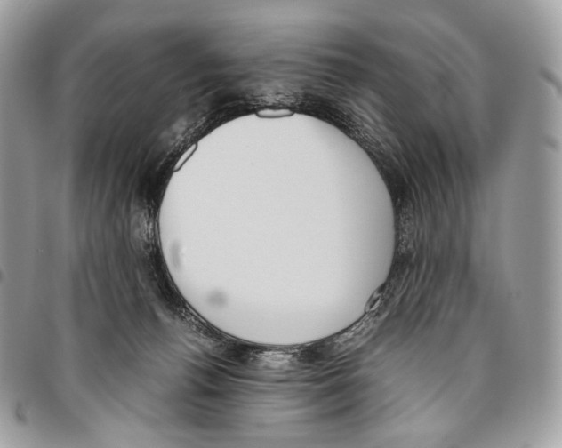X0000095890176200802081125