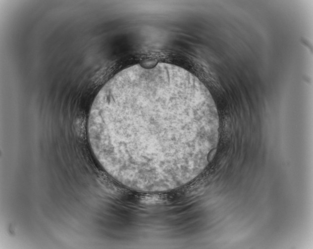 X0000095890177200802081125