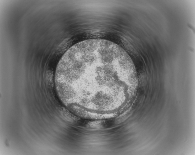 X0000095890178200802081125