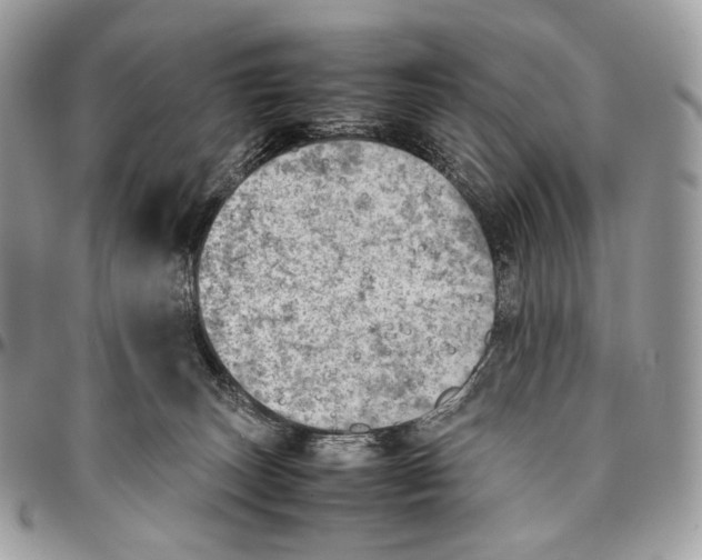X0000095890179200802081125